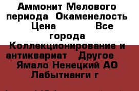 Аммонит Мелового периода. Окаменелость. › Цена ­ 2 800 - Все города Коллекционирование и антиквариат » Другое   . Ямало-Ненецкий АО,Лабытнанги г.